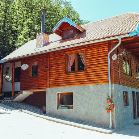 Etno Domacinstvo Milenkovic Villa Despotovac Buitenkant foto