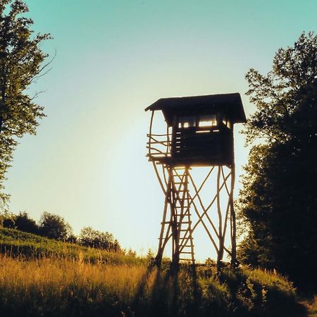 Etno Domacinstvo Milenkovic Villa Despotovac Buitenkant foto