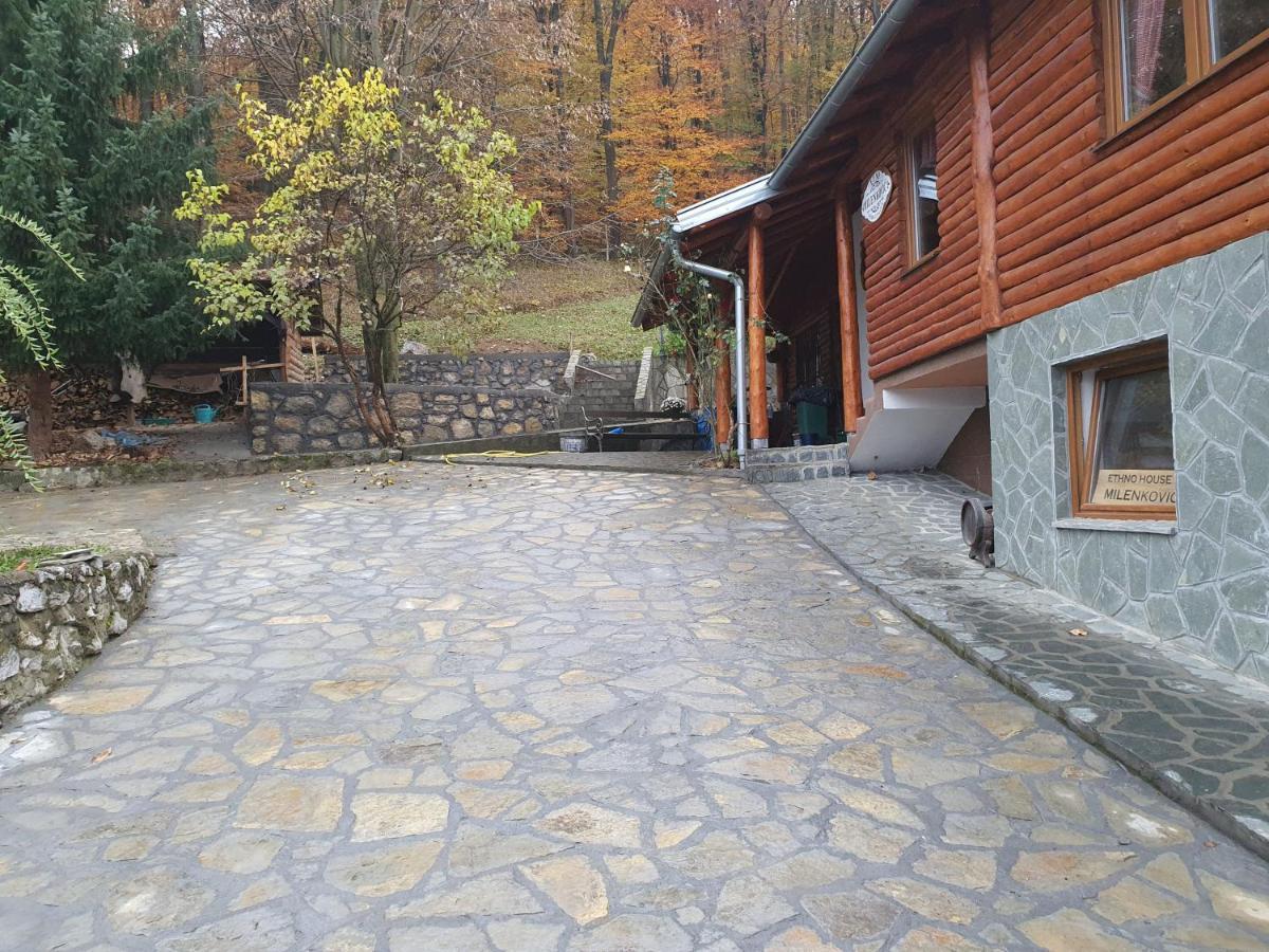 Etno Domacinstvo Milenkovic Villa Despotovac Buitenkant foto