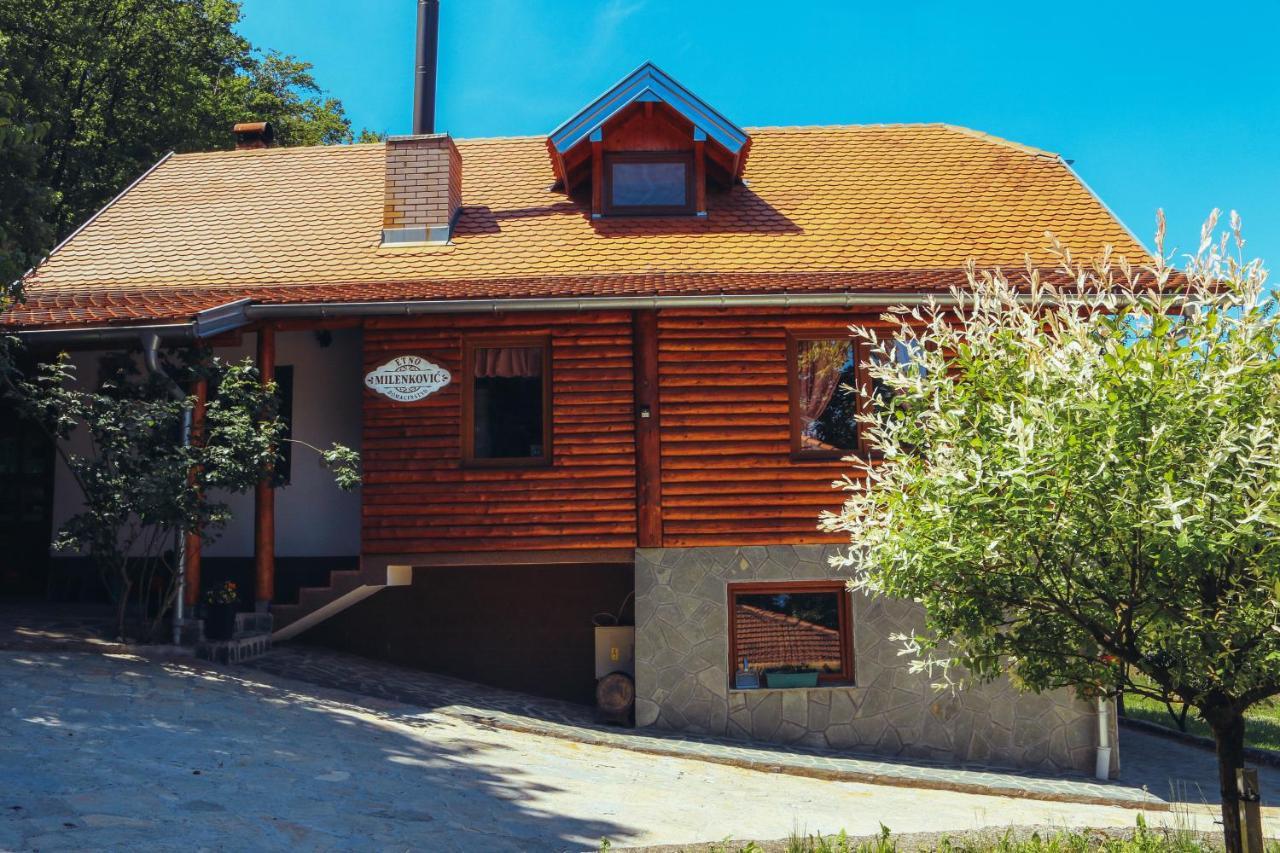 Etno Domacinstvo Milenkovic Villa Despotovac Buitenkant foto