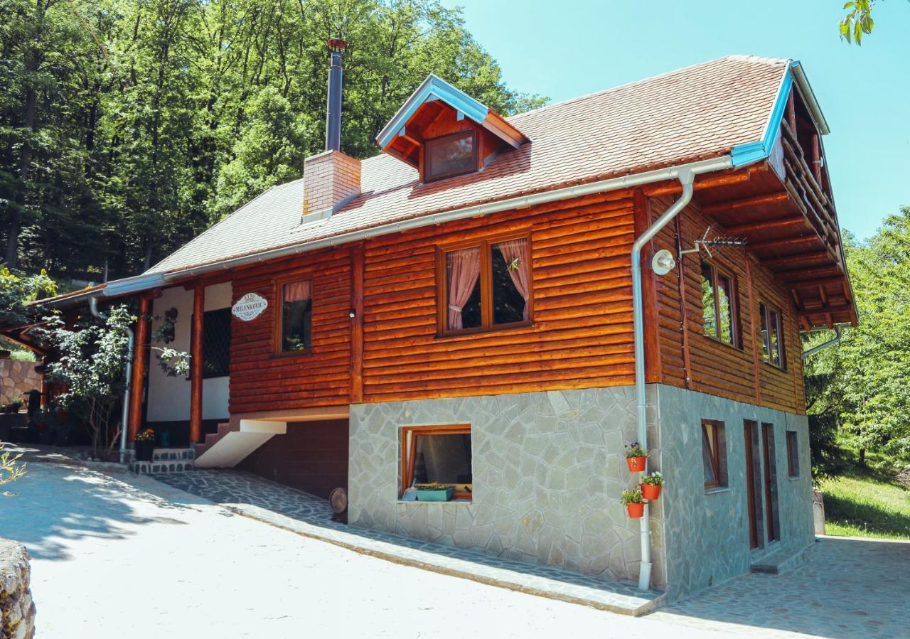 Etno Domacinstvo Milenkovic Villa Despotovac Buitenkant foto