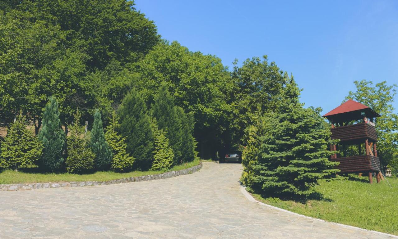 Etno Domacinstvo Milenkovic Villa Despotovac Buitenkant foto