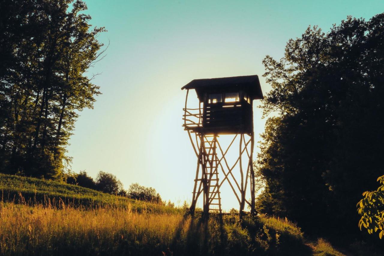 Etno Domacinstvo Milenkovic Villa Despotovac Buitenkant foto