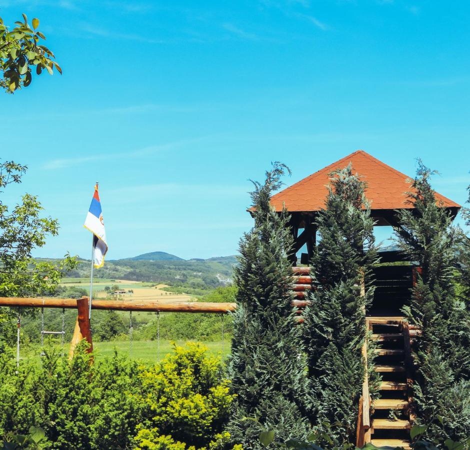 Etno Domacinstvo Milenkovic Villa Despotovac Buitenkant foto