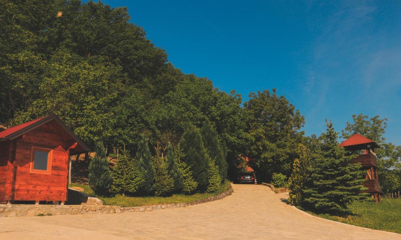 Etno Domacinstvo Milenkovic Villa Despotovac Buitenkant foto