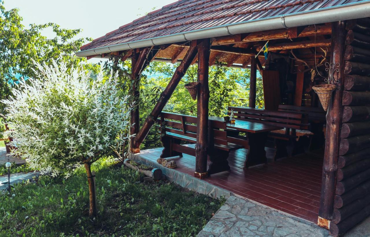 Etno Domacinstvo Milenkovic Villa Despotovac Buitenkant foto