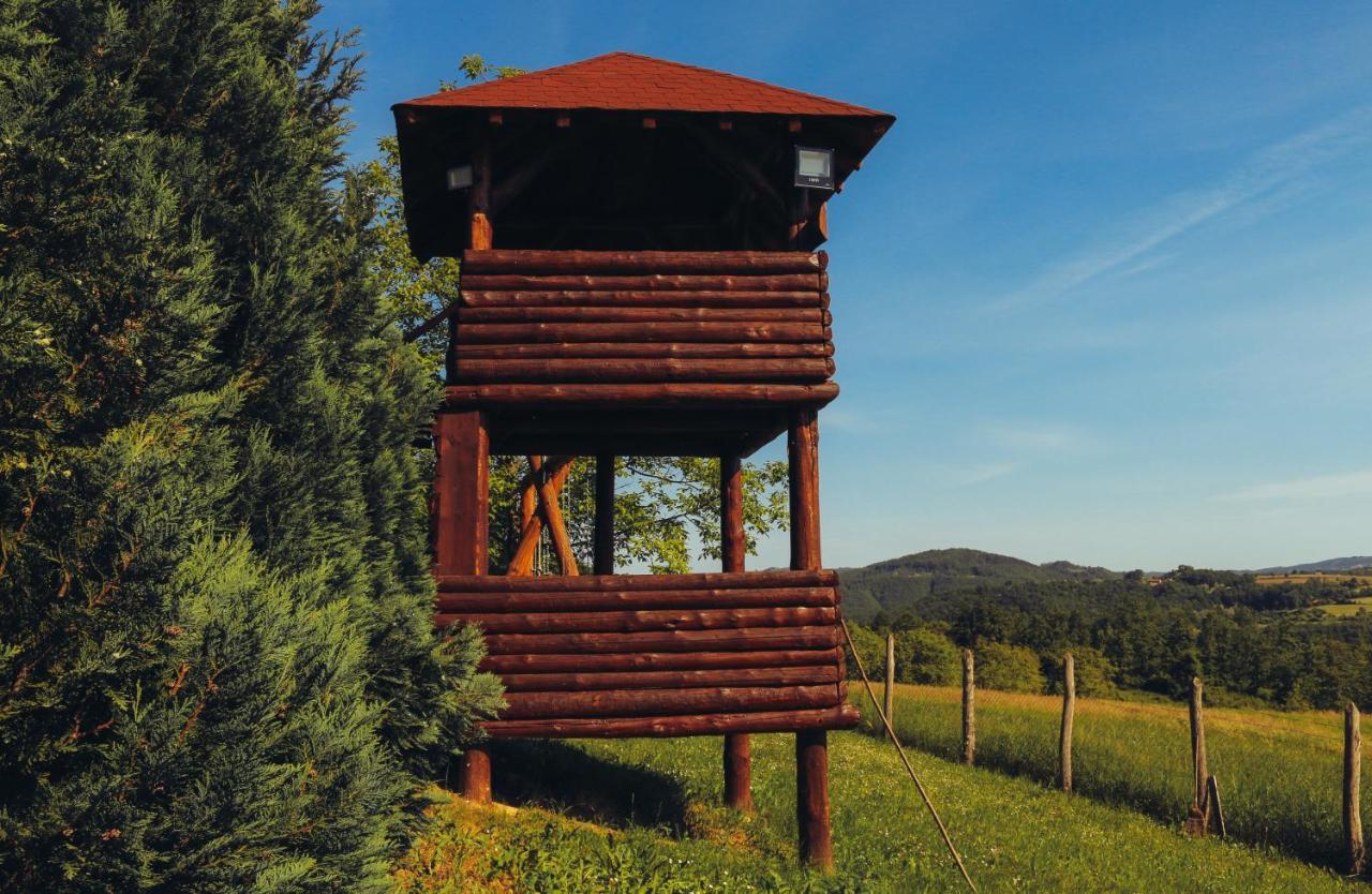 Etno Domacinstvo Milenkovic Villa Despotovac Buitenkant foto