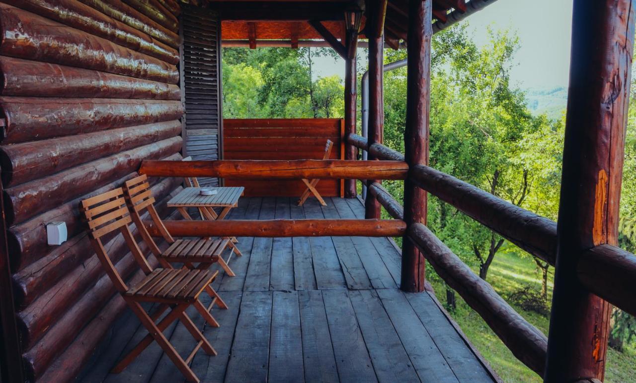 Etno Domacinstvo Milenkovic Villa Despotovac Buitenkant foto