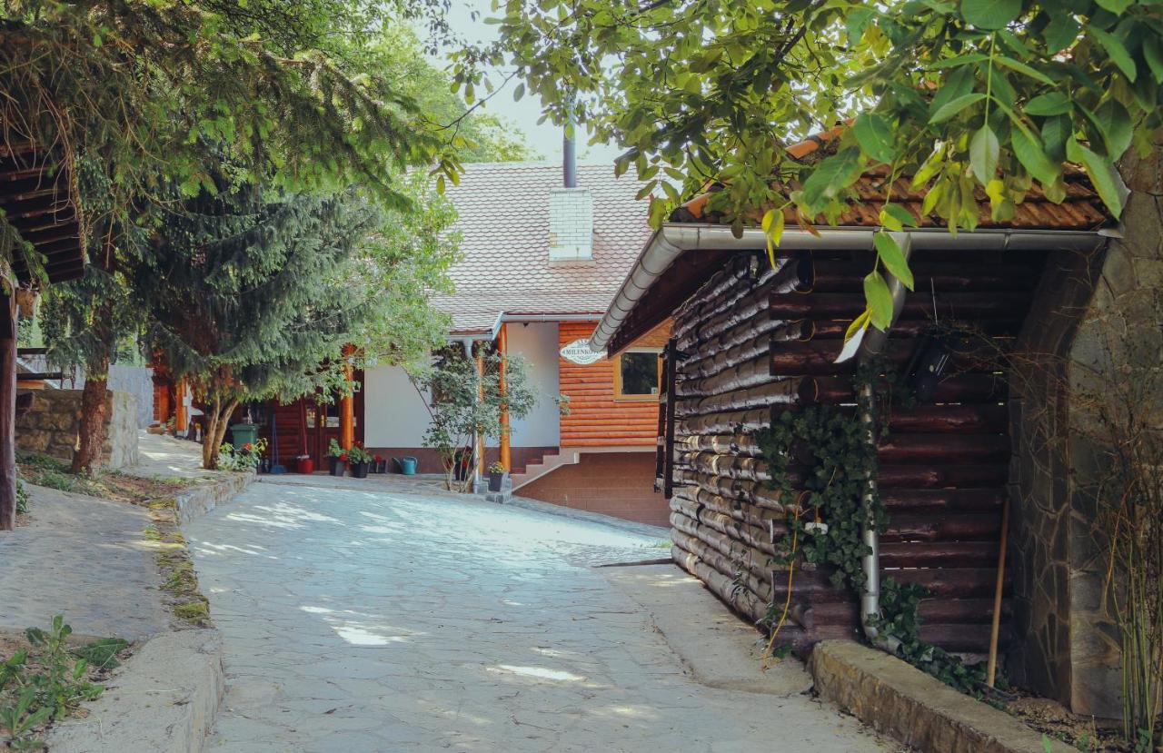 Etno Domacinstvo Milenkovic Villa Despotovac Buitenkant foto