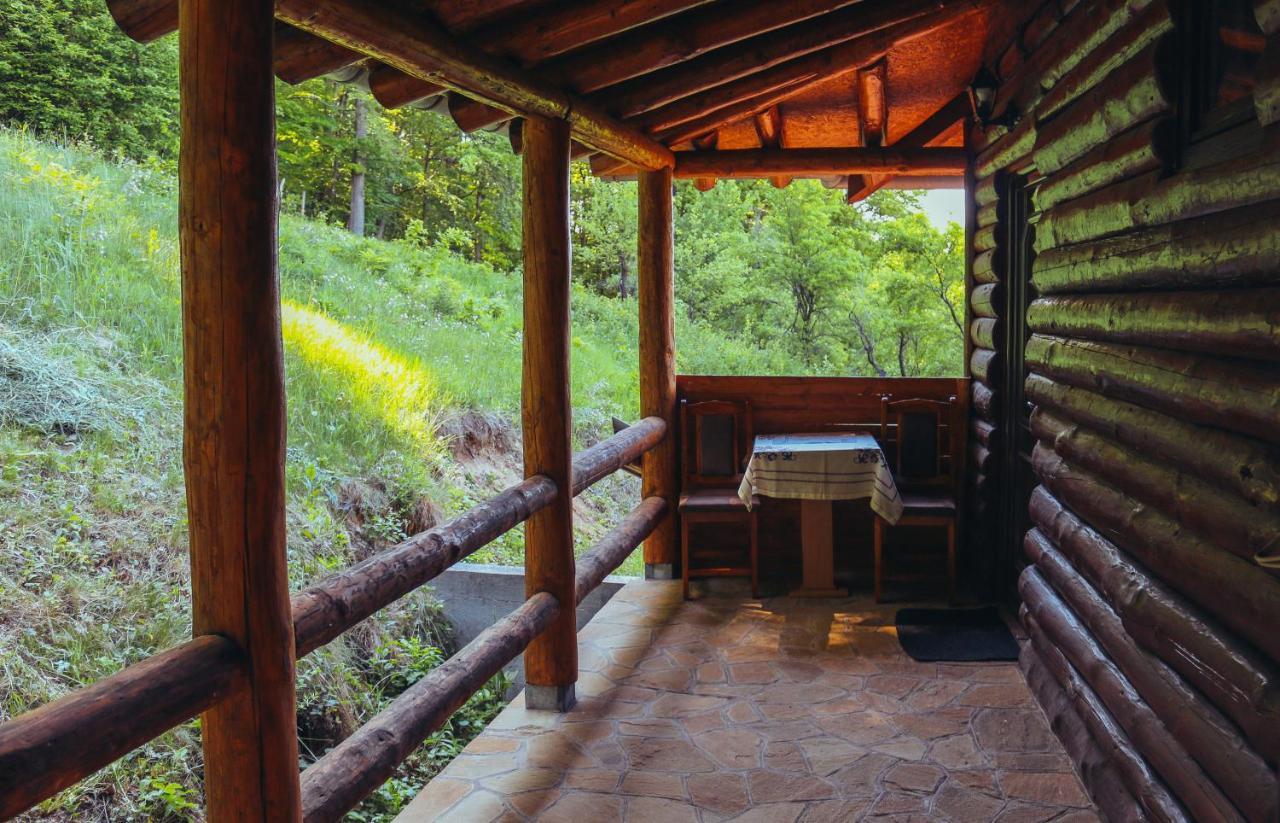 Etno Domacinstvo Milenkovic Villa Despotovac Buitenkant foto