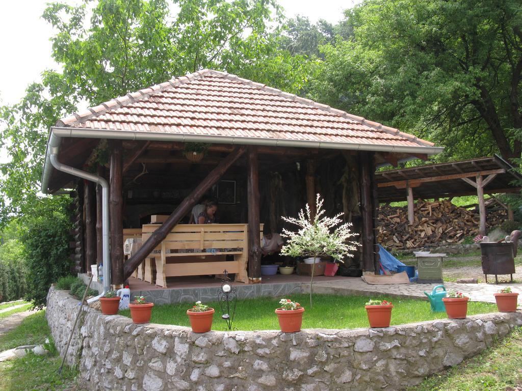 Etno Domacinstvo Milenkovic Villa Despotovac Buitenkant foto
