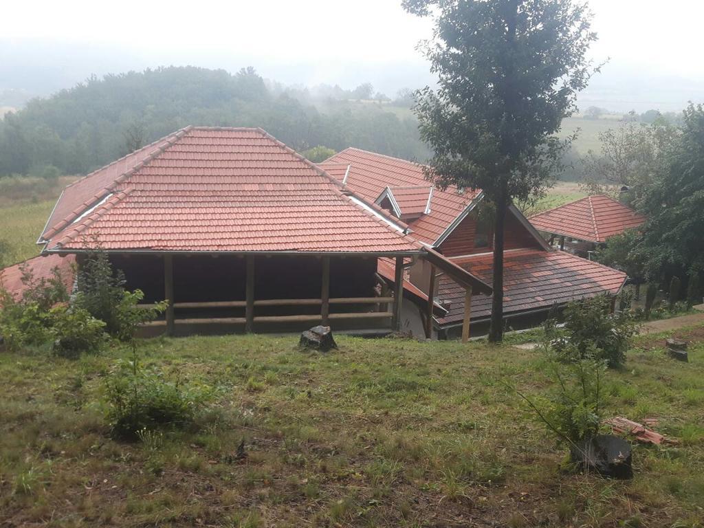 Etno Domacinstvo Milenkovic Villa Despotovac Buitenkant foto