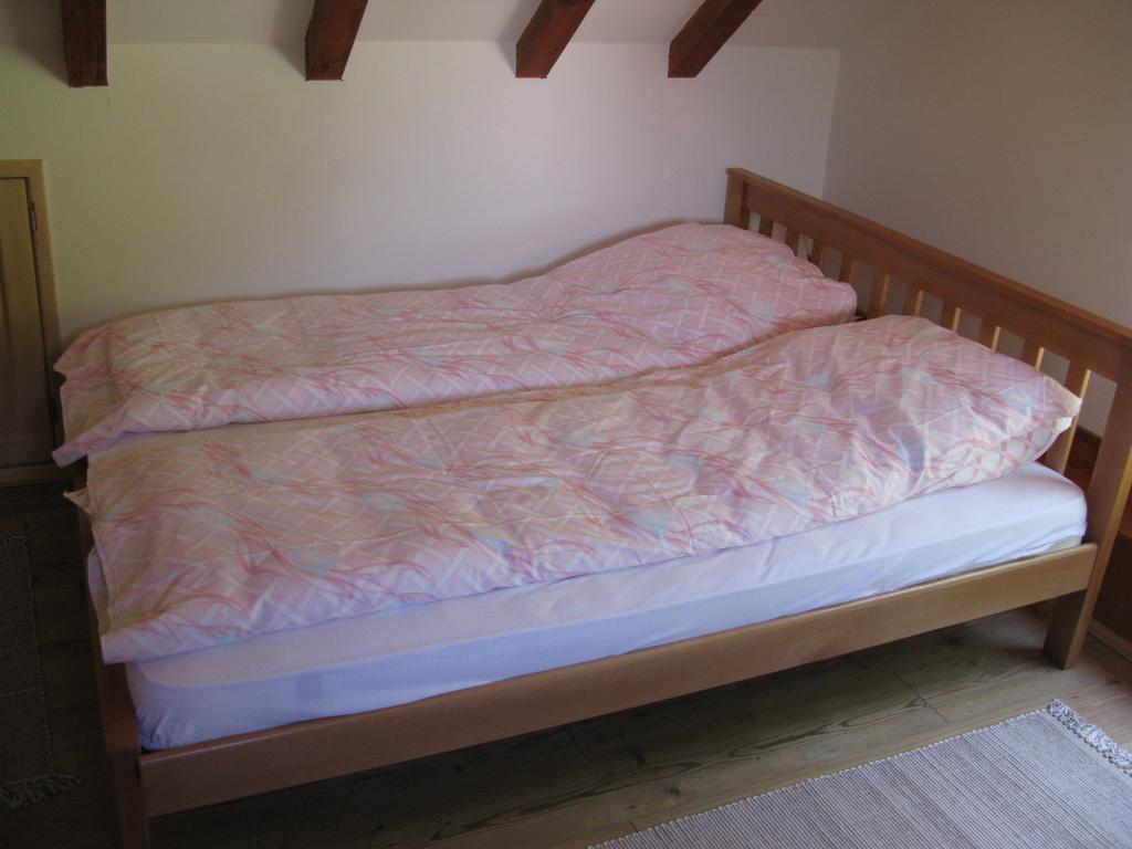 Etno Domacinstvo Milenkovic Villa Despotovac Buitenkant foto