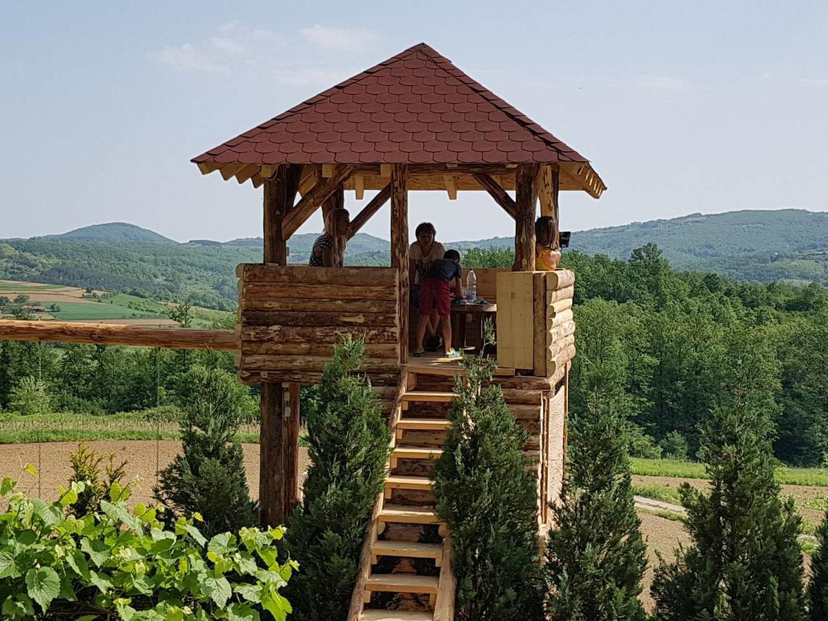 Etno Domacinstvo Milenkovic Villa Despotovac Buitenkant foto