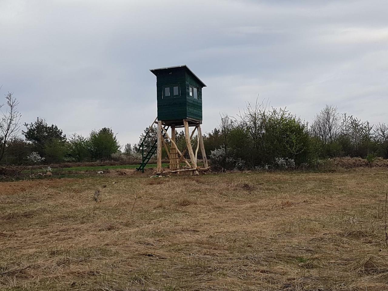 Etno Domacinstvo Milenkovic Villa Despotovac Buitenkant foto