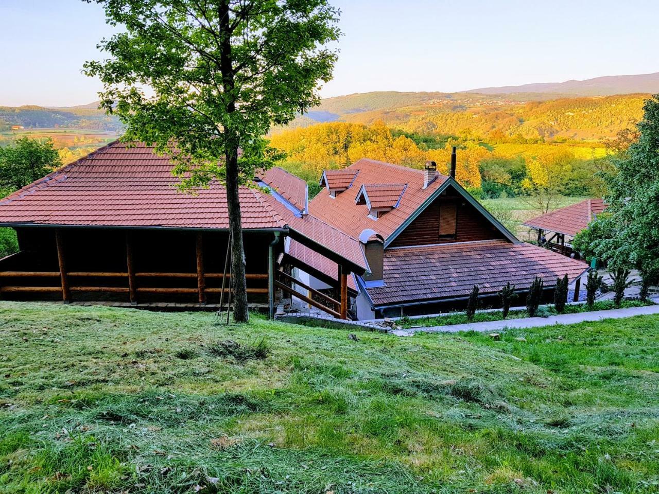 Etno Domacinstvo Milenkovic Villa Despotovac Buitenkant foto